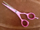 Jaguar White Line Design "Pretty Pink" 5" scissor.